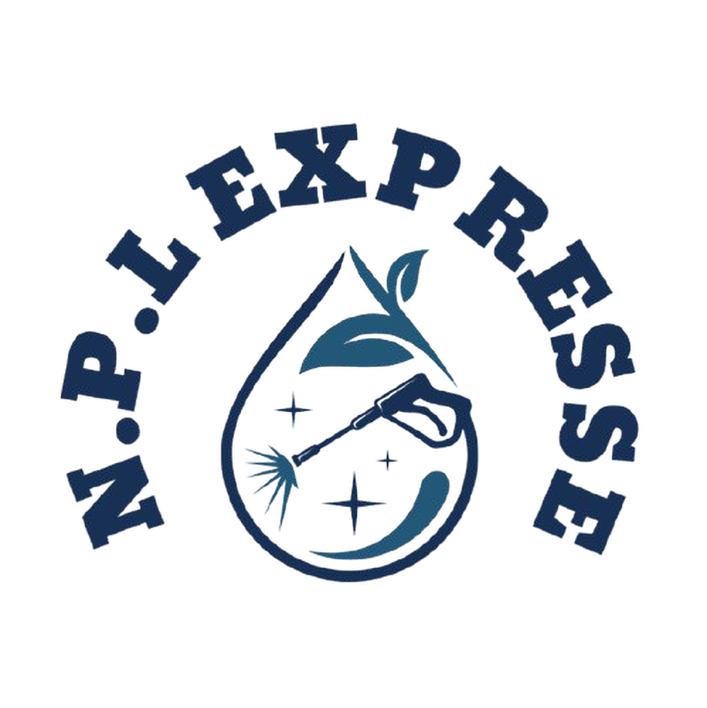 Logo NPL Express